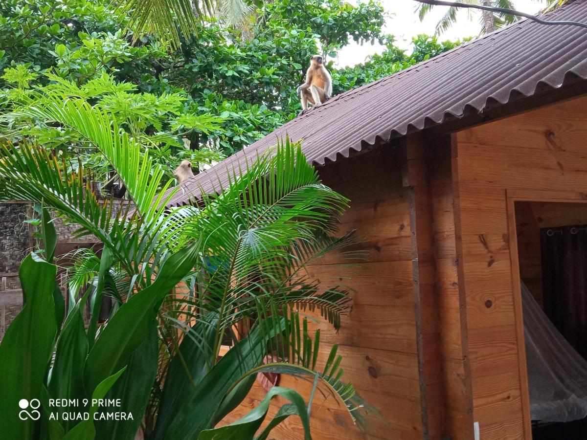 Magic World Hotel Palolem Exterior photo